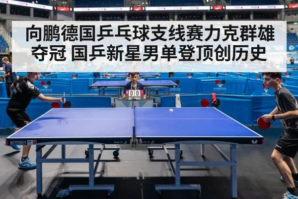 向鹏德国乒乓球支线赛力克群雄夺冠 国乒新星男单登顶创历史
